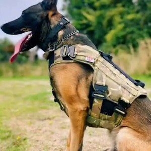 Premium Patrol Harness