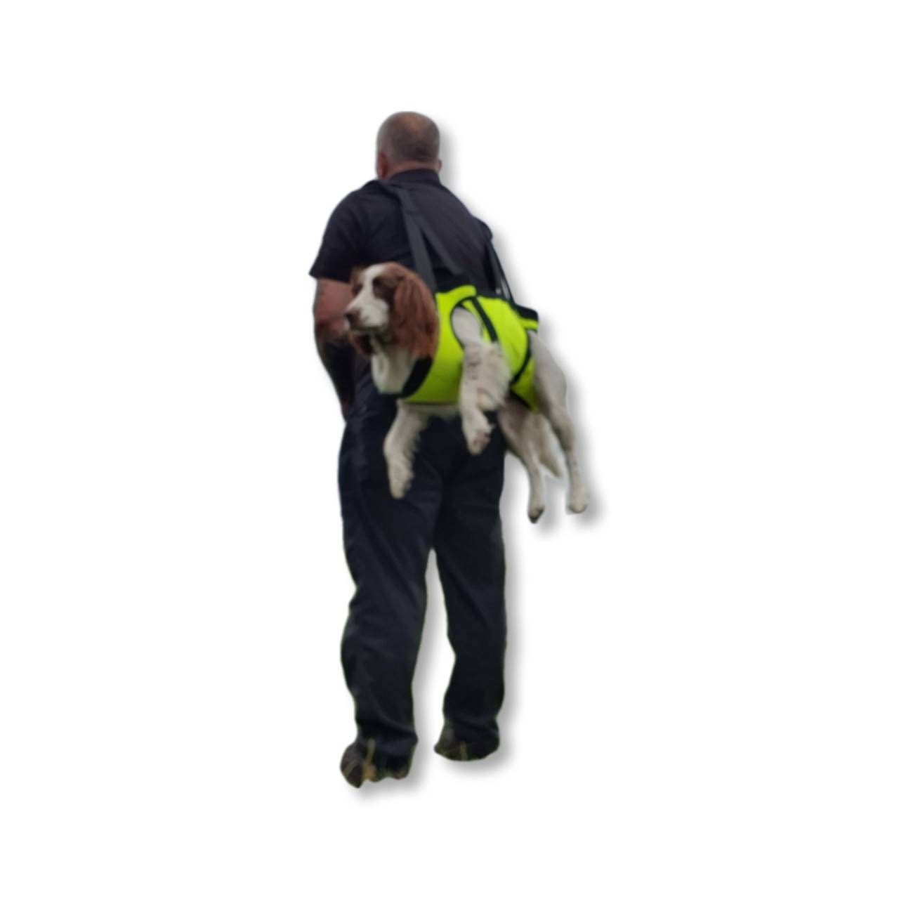 Good2go pet sling sales