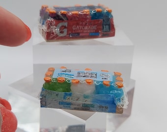 Miniature di case delle bambole Varietà di bevande sportive in scala 1:12 Confezione in scatola da 18 bottiglie Berry e Frost