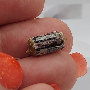 Dollhouse Miniature Ground Sausage Meat 1:12 Scale in Packaging