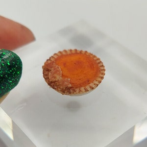 Dollhouse Miniatures 1:12 Scale Thanksgiving Sweet Potato Pumpkin Pie