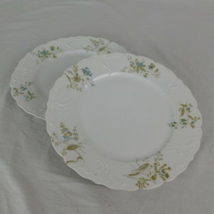 M Redon Limoges 5069 dinerbord met blauwe bloemen, set van 2, porselein, Frankrijk