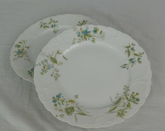 M Redon Limoges 5069 Blue Flowers Salad Plate Set of 2 Fine China France Texture