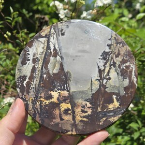 Picture Jasper