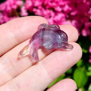 Dolphin Crystal, Fluorite Dolphin Carving