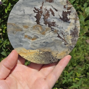 Picture Jasper