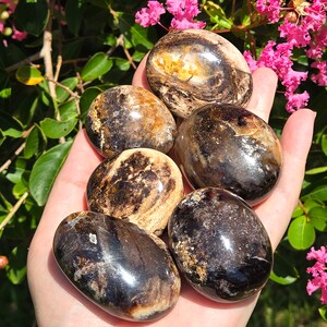 Chocolate Calcite Palmstones