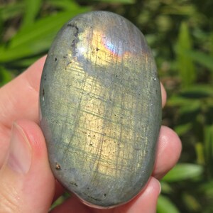 Labradorite Palmstone,  Flashy Labradorite Crystal