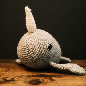 Narwhal