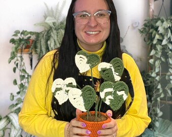 SMALL VERSION Crochet Amigurumi Monstera Albo Variegated White