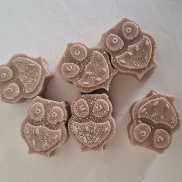 Lot de 6 fondant parfumées en forme des hiboux - cire de colza -cire de soja - végétaux - arômes thérapie