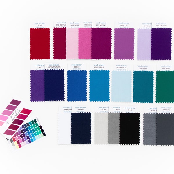 Winter Color Swatches Etsy