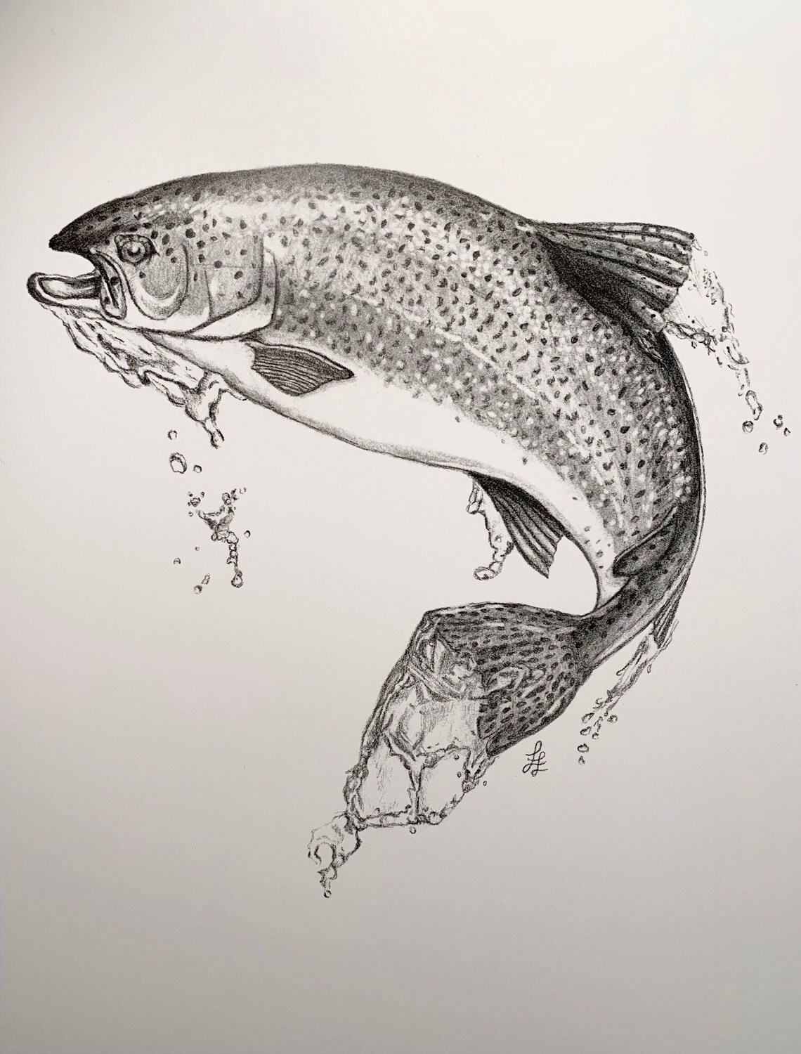 Rainbow Trout Print - Etsy