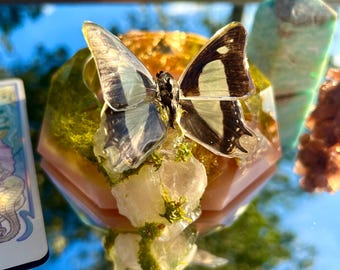 Cendrier papillon véritable en résine - Nawab commun, plateau hexagonal en époxy