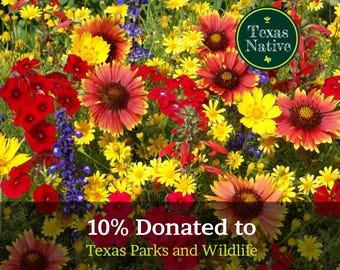 Texas Wildflower Seed Mix Seeds - Easy Care - Great for Kids - Perennial  and Annual Mix - Etsy