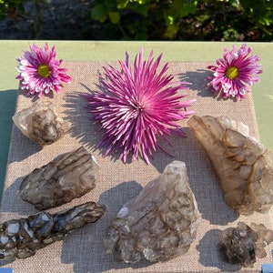 Elestial Smoky Quartz Crystal- Cathedral Smoky Quartz Crystal- Crocodile Smoky Quartz- Jacare- Elestial Crystal- Natural Elestial Crystal