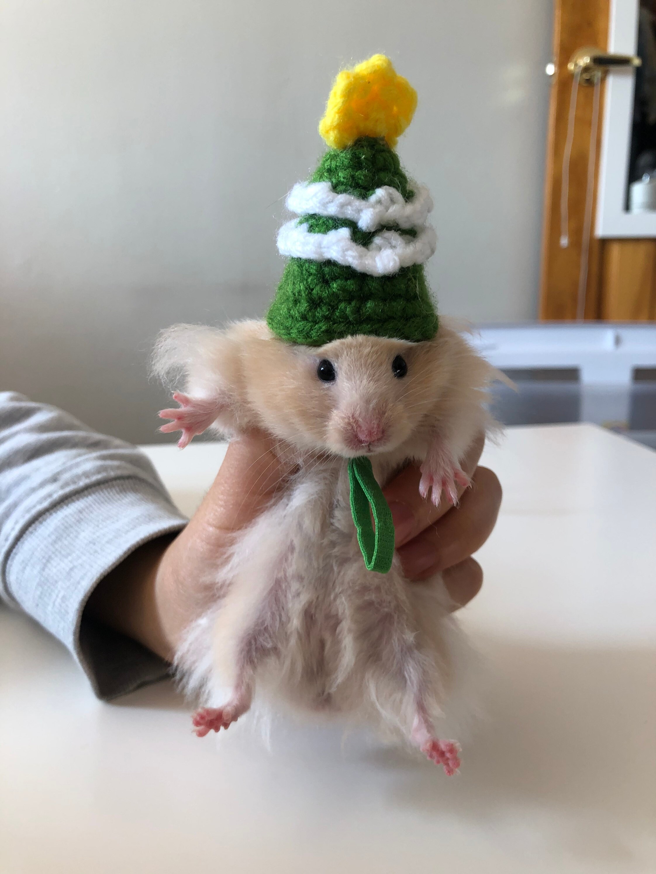 BLANCAT Christmas Tree Hat for Syrian 