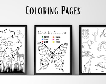 Safari Coloring Page, Safari Birthday Party Games Activities, Color by Number