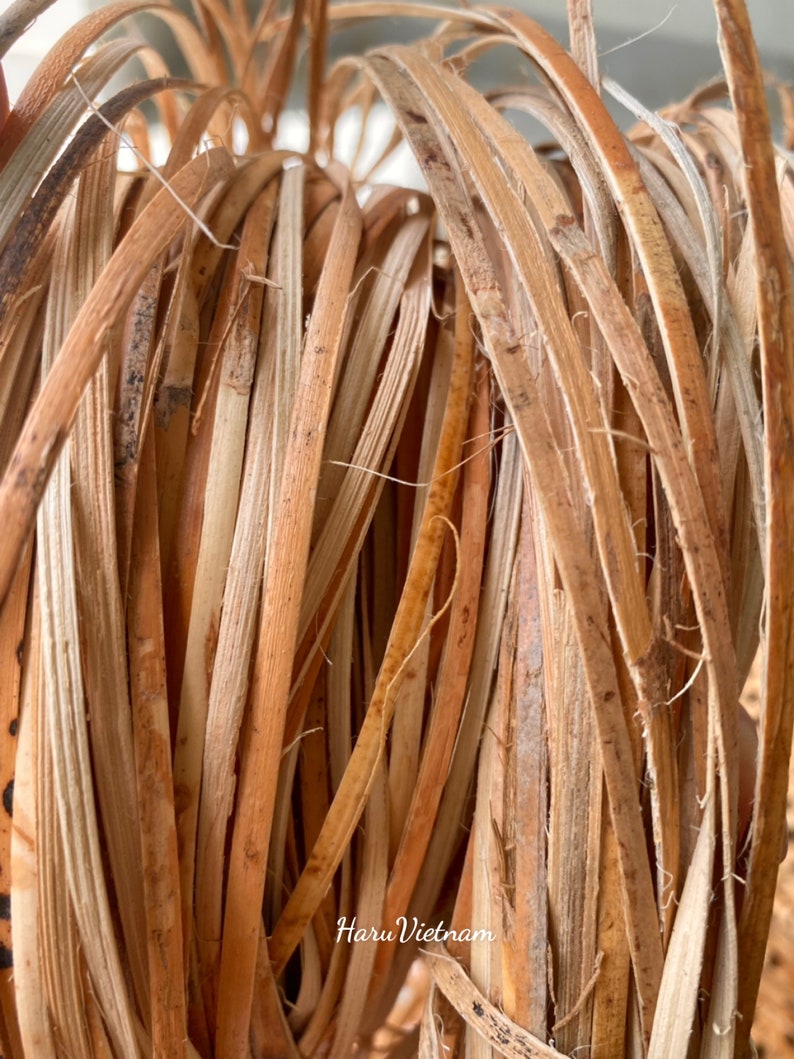 Rattan Spline Cane Rattan Fine Cane for Repair Rattan Chair Etsy