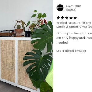 May include: White cabinet with four woven rattan doors. The cabinet is 18 inches wide and 10 feet long. The cabinet is sitting on a white rug in front of a white wall. There are plants in the background.