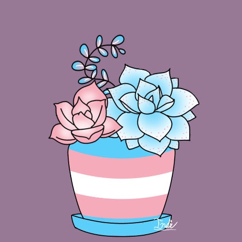 LGBTQIA Pride Plant Pots Etsy