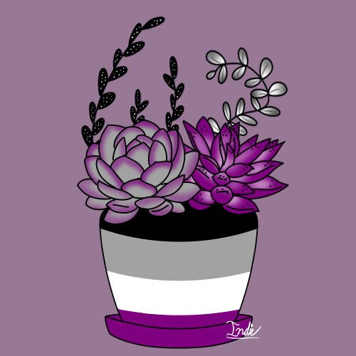 LGBTQIA Pride Plant Pots Etsy