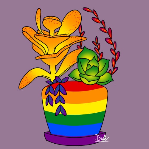 LGBTQIA Pride Plant Pots Etsy