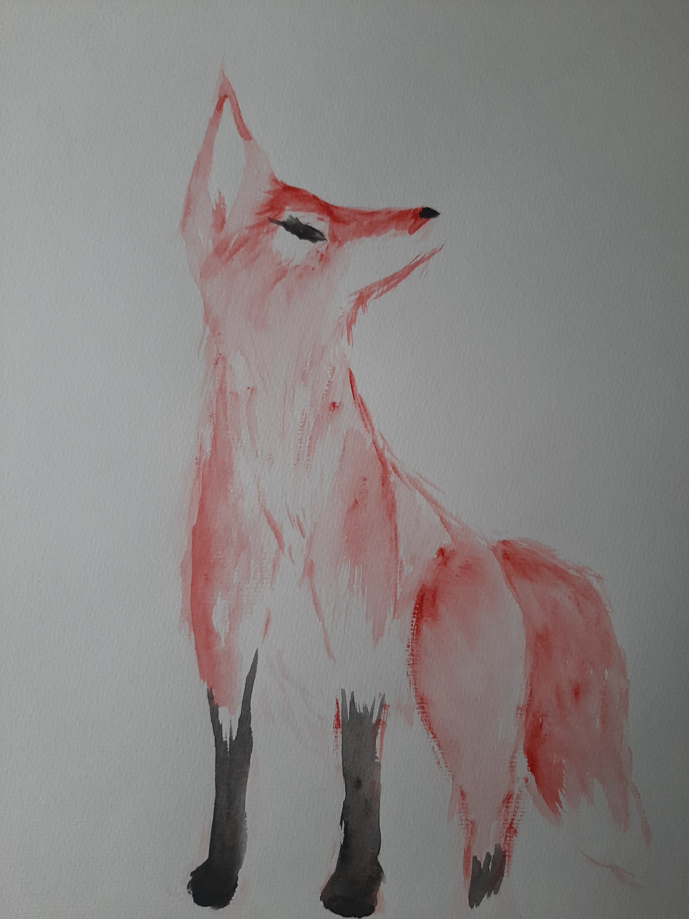 Fuchs Aquarel Skizze Original | Etsy