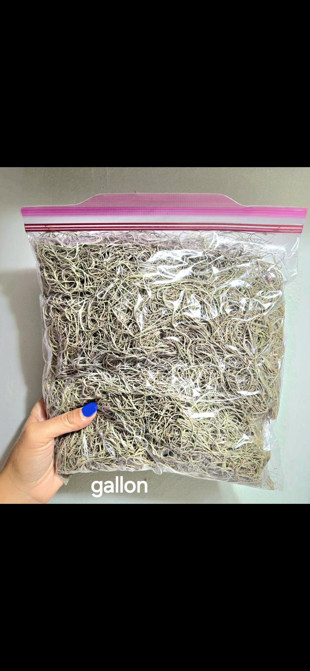 Fresh Organic Spanish Moss: Reptile Habitat, Orchid Mulch - Etsy
