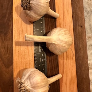 Chemical-Free &quot;Music&quot; Garlic from Certified Veteran-Owned Farm