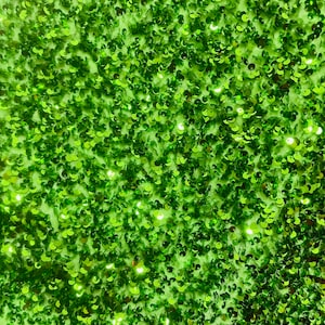 May include: A close-up of a green fabric covered in sequins. The sequins are small and round, and they are arranged in a random pattern.