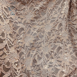 Taupe Spandex Sequins Lace - Chantelle Embroidery, Made in France