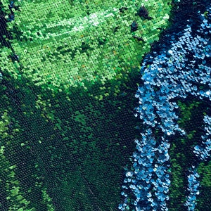 Könnte beinhalten: Nahaufnahme eines Stoffes mit grünen und blauen Pailletten. Die Pailletten sind in einem Muster angeordnet, das an Schuppen erinnert.