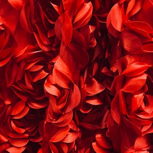 RED rose designer 3D flower satin  brocade satin  design in Italy