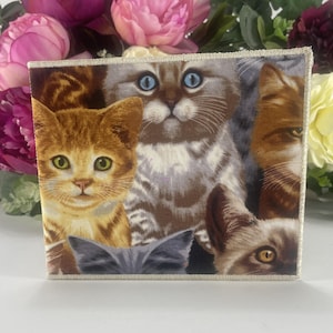 Könnte beinhalten: Eine Nahaufnahme eines Stoff-Patches mit einer Collage aus bunten Katzen. Die Katzen sind in einem zufälligen Muster angeordnet, wobei sich ihre Gesichter und Körper überlappen. Der Patch ist von einem weißen Rand umgeben.