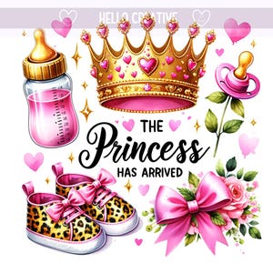 De prinses is aangekomen png, babymeisje png, babyprinses png, pasgeboren png, moeder te worden png, sublimatieontwerp, digitale download png