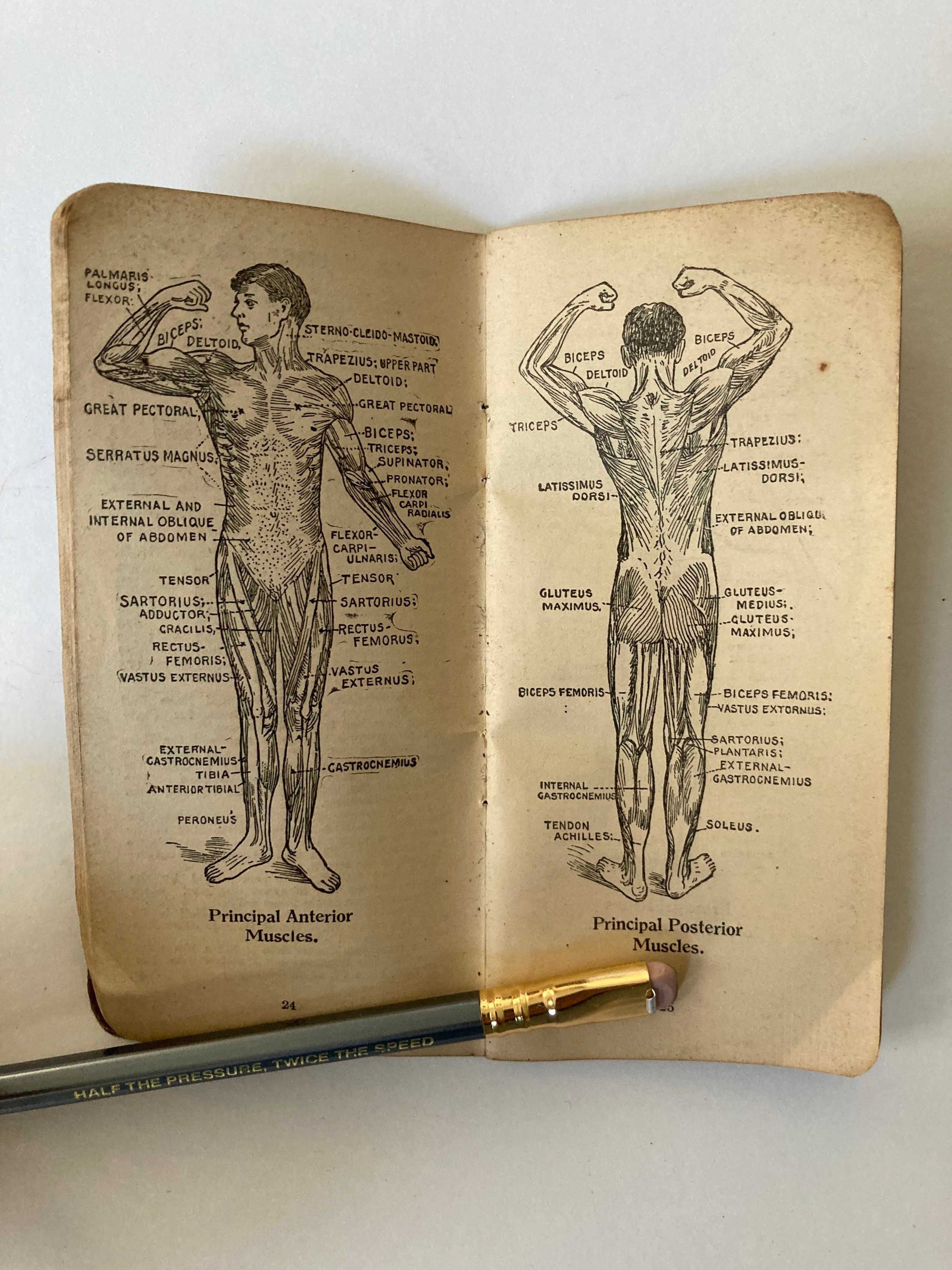 Medical book 1927 - Etsy 日本