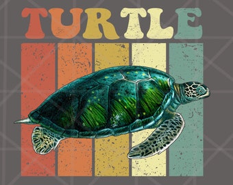 3 Design Vintage Turtle PNG, Retro Animal Design, Ocean Turtle png, Sea Turtle sublimation designs downloads, Ocean Sea Life Clipart
