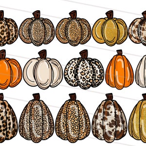 May include: A collection of fifteen pumpkin illustrations in various styles. Some pumpkins feature leopard print, others are solid orange, white, or gold. The pumpkins have brown stems and are arranged in three rows of five.