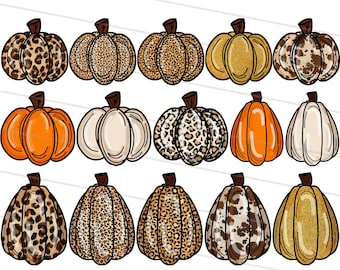 Clipart de abóbora leopardo 15X, elementos de abóbora desenhados à mão, impressão de sublimação de chita leopardo laranja bege, dia de ação de graças png, dia das bruxas png