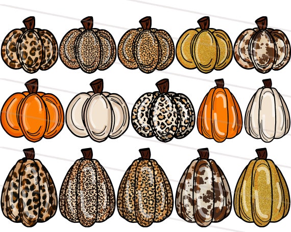 15X Leopard Pumpkin Clipart, Hand Drawn Pumpkin Elements, Beige Orange Leopard Cheetah Sublimation Print, Thanksgiving png, Hallowen png