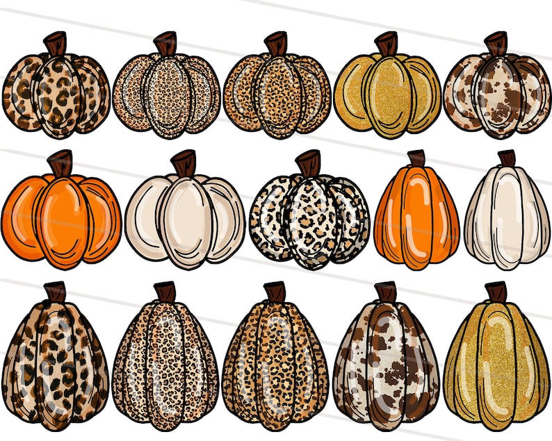 K&ouml;nnte beinhalten: Eine Sammlung von f&uuml;nfzehn K&uuml;rbisillustrationen in verschiedenen Stilen. Einige K&uuml;rbisse haben einen Leopardenmusterdruck, andere sind einfarbig orange, wei&szlig; oder gold. Die K&uuml;rbisse haben braune Stiele und sind in drei Reihen zu je f&uuml;nf angeordnet.