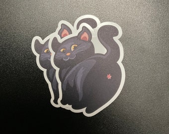 Cute and Sassy Cat Butt