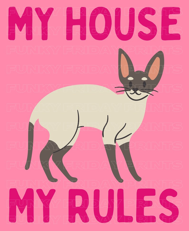 K&ouml;nnte beinhalten: Ein rosa Hintergrund mit dem Text "MY HOUSE MY RULES" in rosa Buchstaben. Eine Cartoon-Siamesische Katze befindet sich in der Mitte des Bildes.