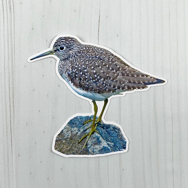 Solitary Sandpiper Matte Vinyl Sticker