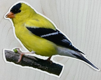 Goldfinch Matte Vinyl Sticker