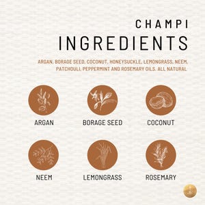 Puede incluir: Una ilustraci&oacute;n gr&aacute;fica de los ingredientes utilizados en un producto de aceite para el cabello. Los ingredientes son arg&aacute;n, semilla de borraja, coco, hierba de lim&oacute;n, neem y romero. El texto dice "Champo Ingredients".