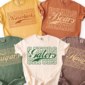 Comfort Colors Custom School Mascot Tshirt, Favorite Team T-Shirt, Team Mascot Name Tee, Custom Sports, Custom Stacked Team Name Shirt