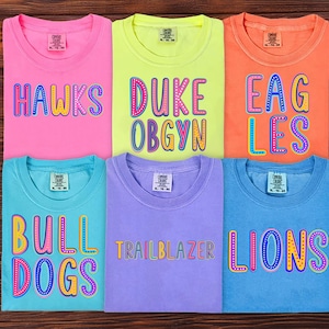 Custom Mascot Shirt, Custom School T-Shirt, Team Mascot Shirt, Teacher Shirt, School Spirit Shirt, Custom Game Day Shirt, Teacher Team Shirt
