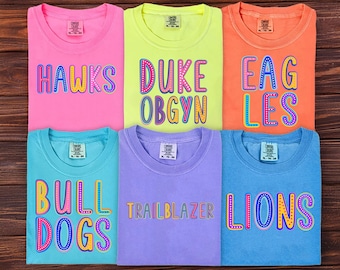 Custom Mascot Shirt, Custom School T-Shirt, Team Mascot Shirt, Teacher Shirt, School Spirit Shirt, Custom Game Day Shirt, Teacher Team Shirt